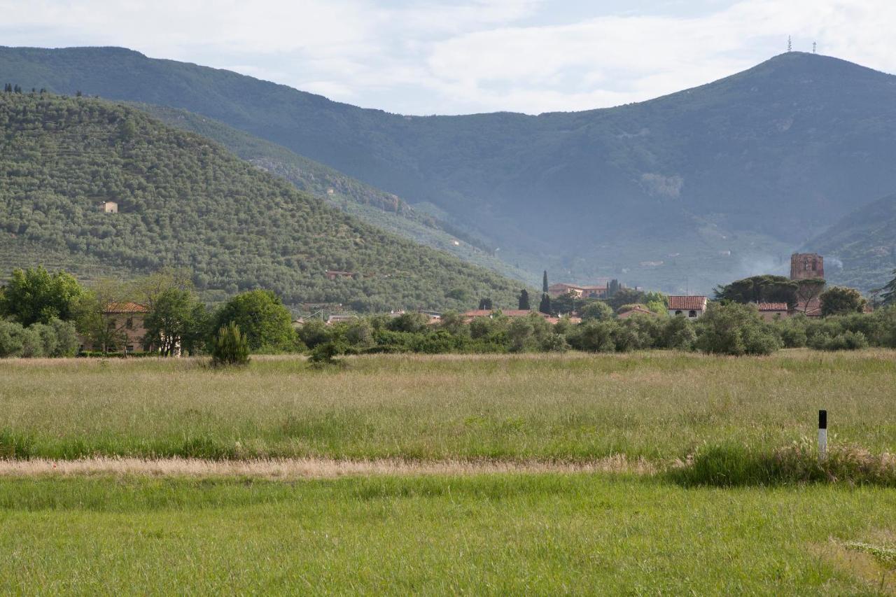 Agriturismo Villa Rosselmini Кальчи Экстерьер фото